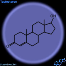 Testosteron Enantat